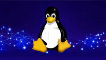 Immagine di Tux, la mascotte di Linux